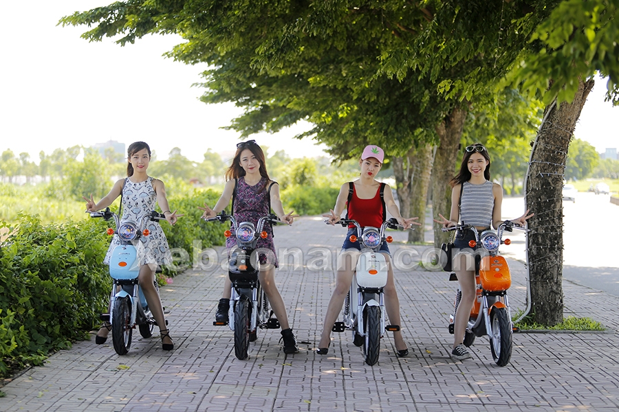 Xe đạp điện Nijia 20A Suzika chính hãng nhập khẩu | Xebaonam.com