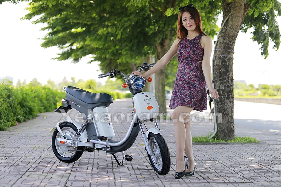 Xe đạp điện Nijia 20A Suzika chính hãng nhập khẩu | Xebaonam.com