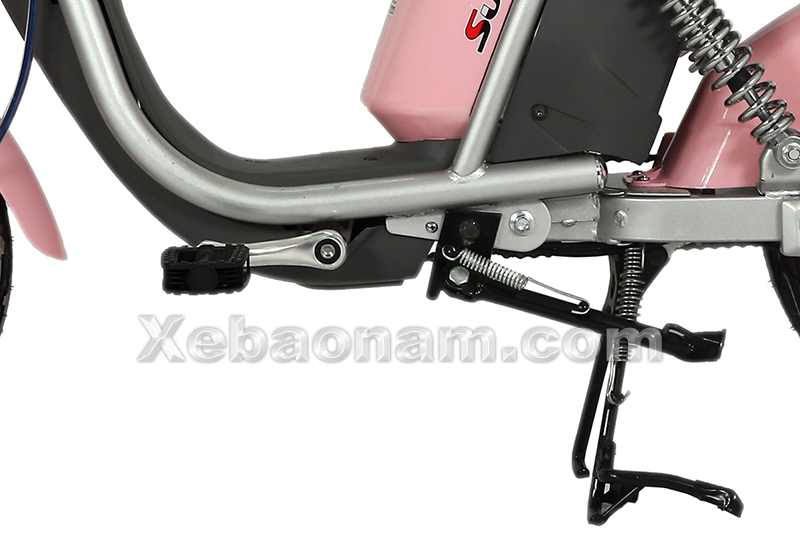Xe đạp điện Nijia 20A chính hãng nhập khẩu | Xebaonam.com