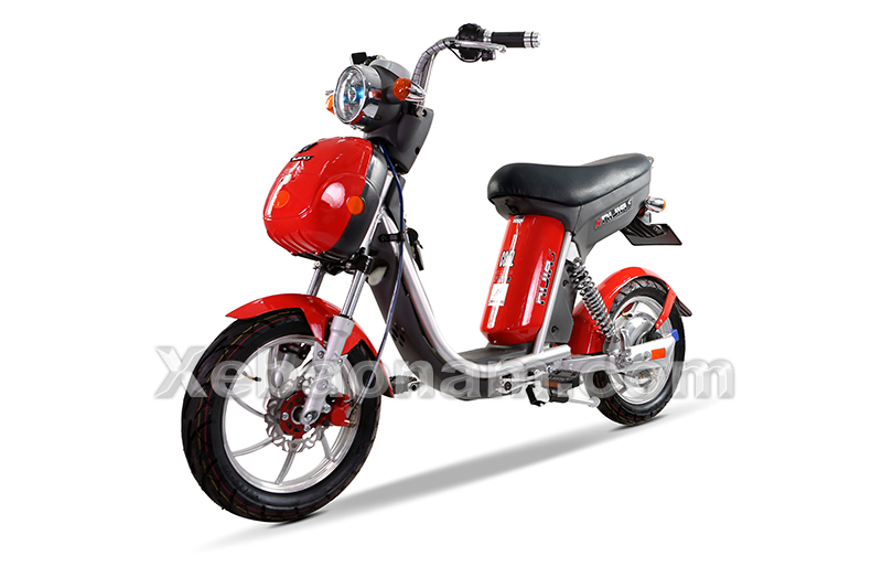 Xe đạp điện Nijia S 12A chính hãng nhập khẩu | Xebaonam.com