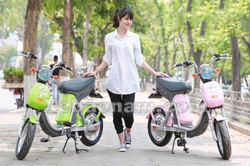 Xe đạp điện Nijia S 12A chính hãng nhập khẩu | Xebaonam.com