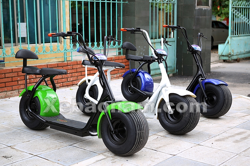 Xe đạp điện Suzika D1 chính hãng nhập khẩu | Xebaonam.com