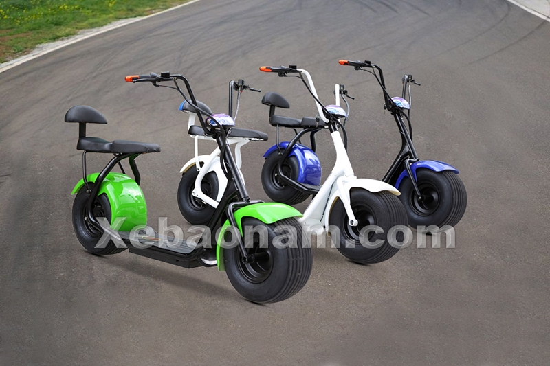 Xe đạp điện Suzika D1 chính hãng nhập khẩu | Xebaonam.com