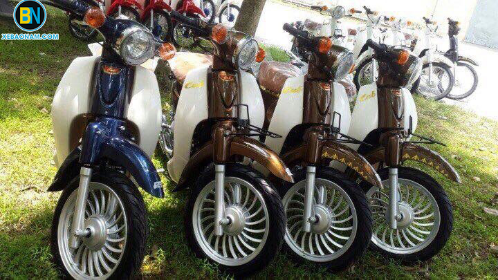 xe-may-cub-50