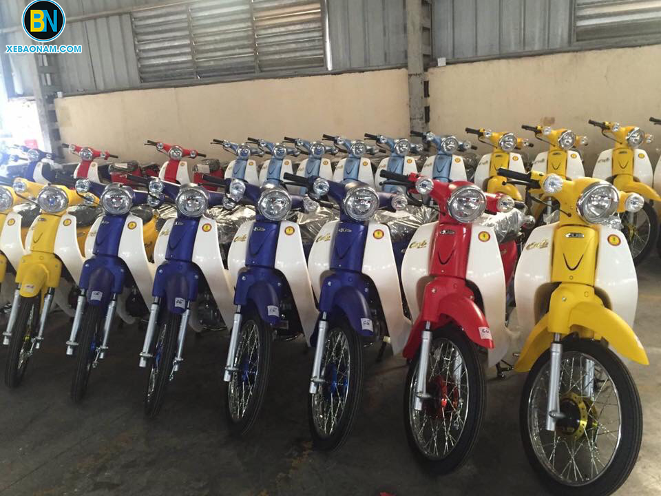 xe-may-cub-50