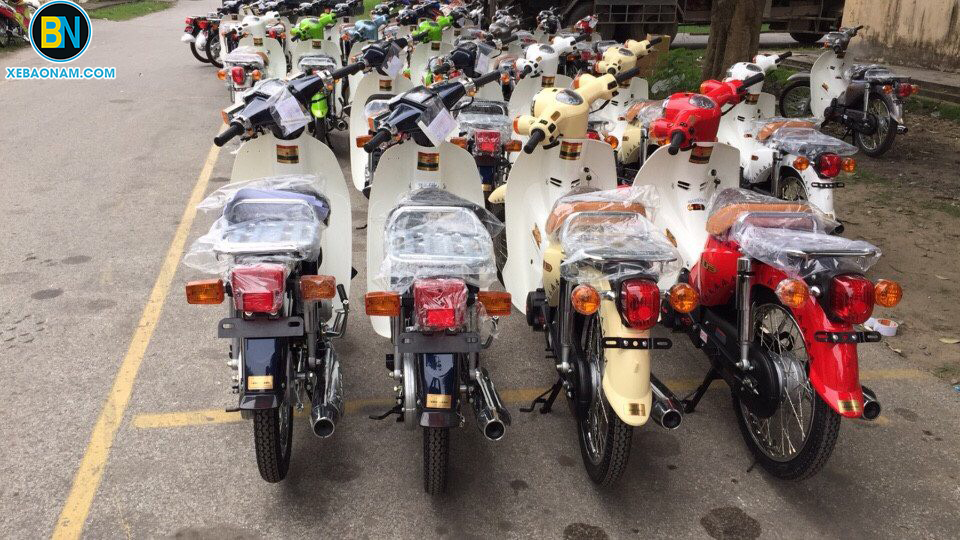 xe-may-cub-50