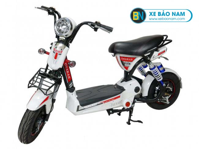 xe_dap_dien_osakar_133_12a_3