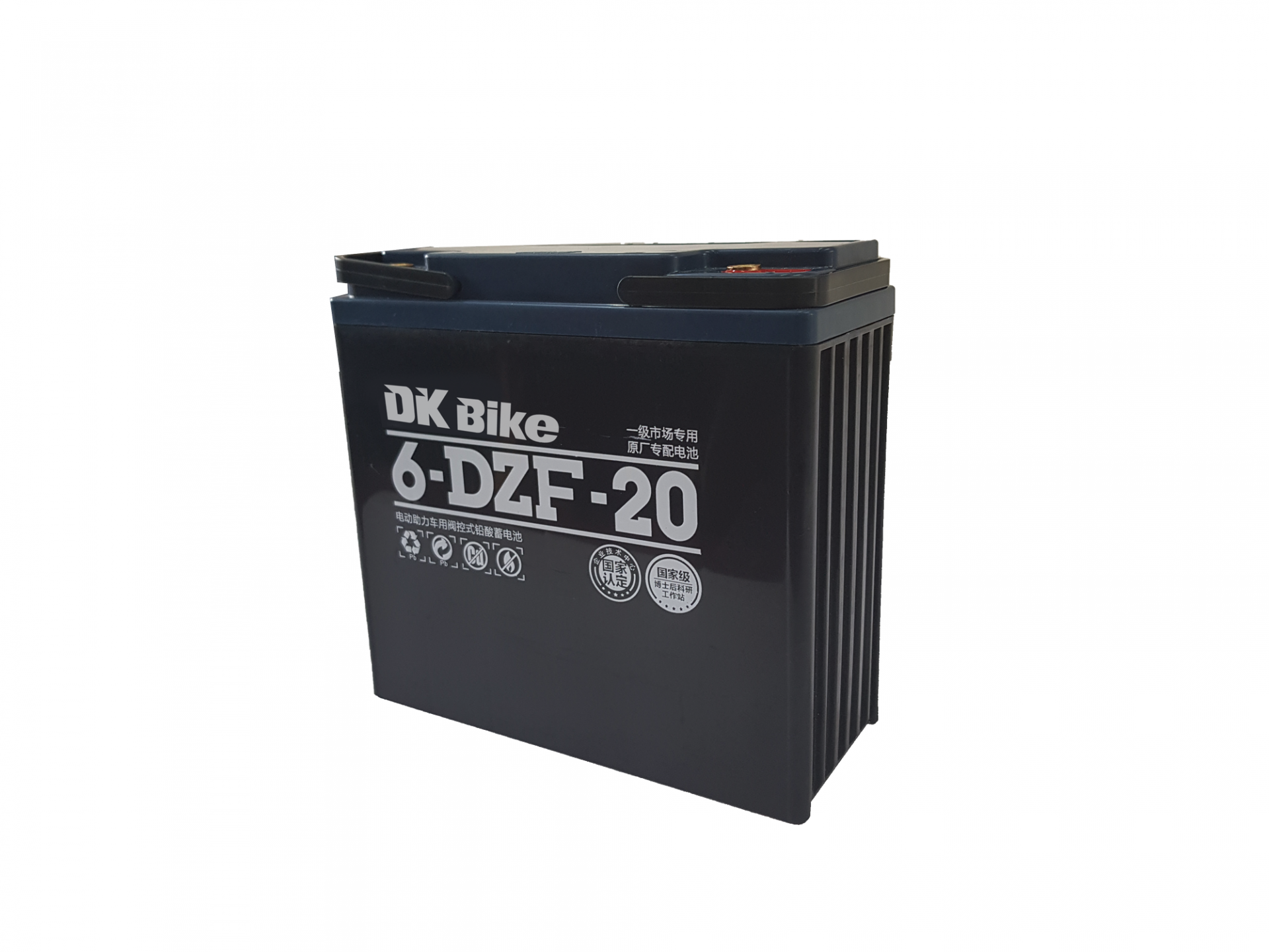 ắc quy xe máy điện DK Bike 48V - 20Ah