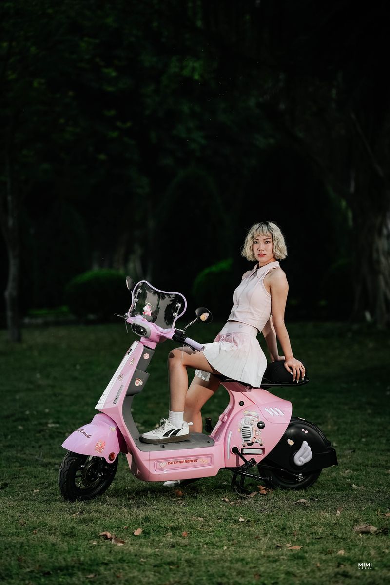 xe đạp điện Dk Bike V1
