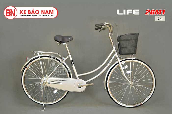Xe Đạp Mini Việt Nam Sallway 02