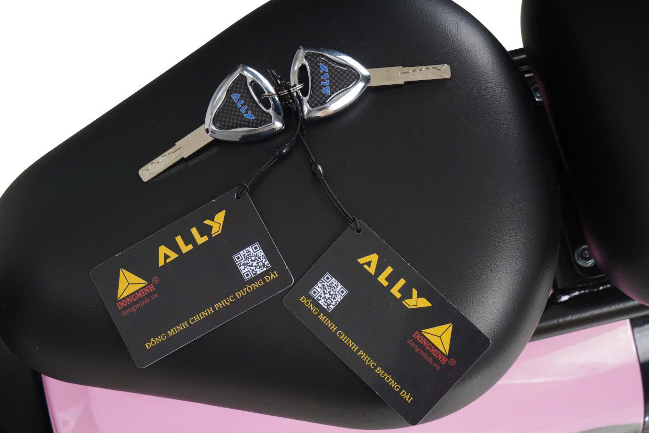 xe đạp điện ally elyas