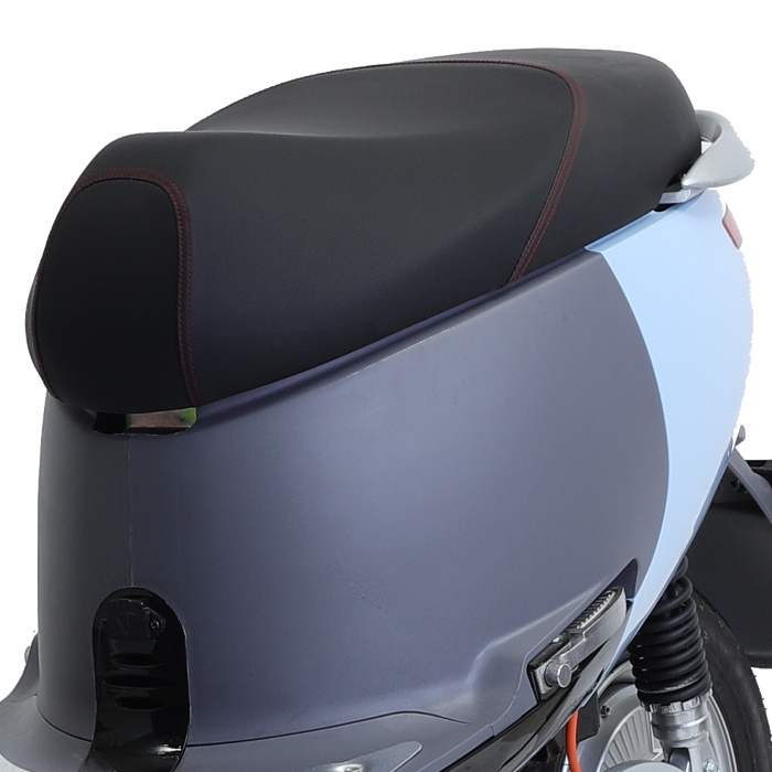 xe máy điện tailg gogo r31