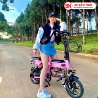 NÊN MUA XE ĐIỆN GẤP CHÍNH HÃNG Ở ĐÂU????