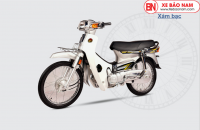 Xe máy 110cc Dream - Mẫu xe dành cho các bạn “nấm lùn”