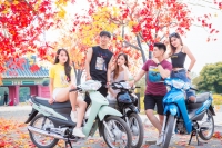 Người Đi Xe Máy 50cc Phân Khối Có Cần Bằng Lái Không?