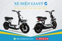 Xe điện Giant - Sự lựa chọn của mọi gia đình