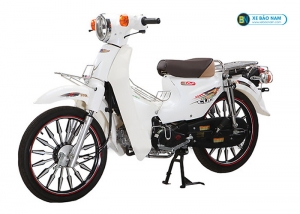 Xe Cub Little 50cc siêu xe bền bỉ cùng thời gian