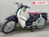 Xe Máy Cub Việt Thái New 50cc