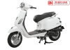 Xe Ga Dibao 50cc Pansy X