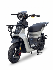 Xe Đạp Điện Dylexe Type 3 Pro (Pin Lithium)