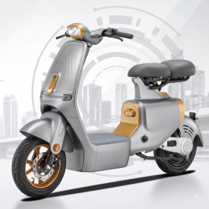 Xe Đạp Điện VC Pro