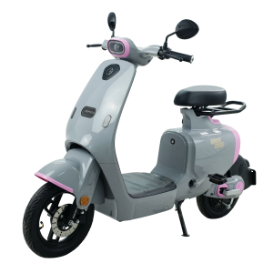 Xe Đạp Điện DT Weezee (Pin Lithium)