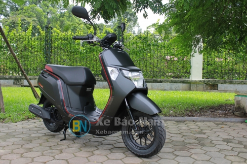 Top 43 về xe honda dunk 50cc hay nhất  cdgdbentreeduvn