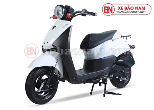 Honda Today 50cc  lựa chọn mới cho giới trẻ  websosanhvn