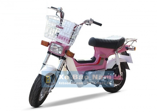 Hồng
