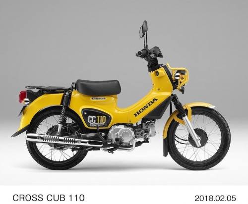Honda Cub 2023 bản Đặc biệt có gì hấp dẫn giới chơi xe Việt Nam