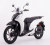 Xe Ga DT Solo 50cc