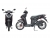 Xe Ga 50cc Visiona Honlei