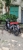 Xe Máy DT Cub 83 Vvip 50cc (Đặc Biệt)