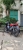 Xe Máy DT Cub 83 Vvip 50cc (Đặc Biệt)