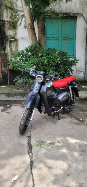 Xe Máy DT Cub 83 Vvip 50cc (Đặc Biệt)