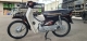 Xe Máy Dream 50cc Honlei