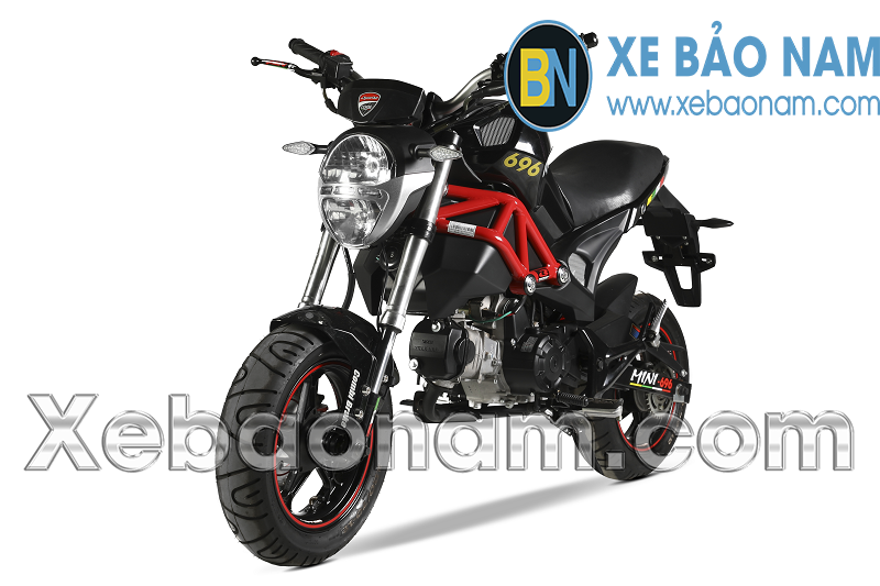Ducati on sale mini monster