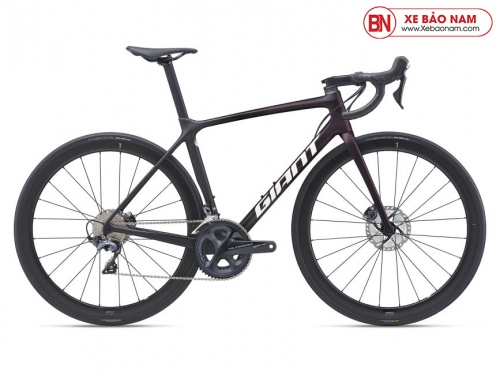 Xe đạp Giant TCR ADV Pro 1 D 2021