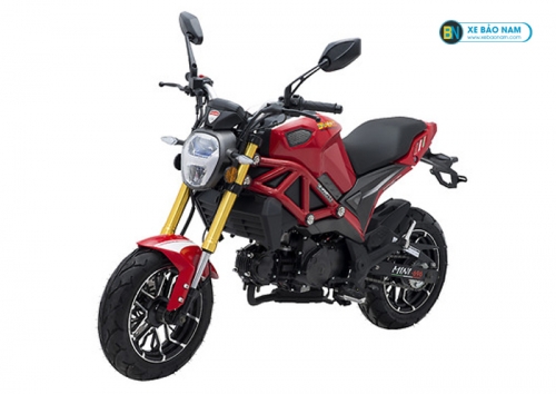 Ducati clearance monster 50cc