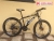 Xe đạp địa hình FASCINO FS226XC