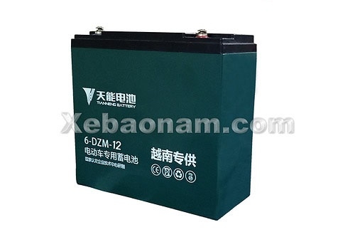 Ắc quy xe điện Tianneng 48V - 20Ah