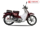 Xe Máy 50cc Cub New Ally 2020 ( Vành Đúc )