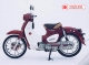 XE CUB 50CC ESPERO CLASSIC VVIP