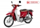 Xe Cub Halim 50cc 2020