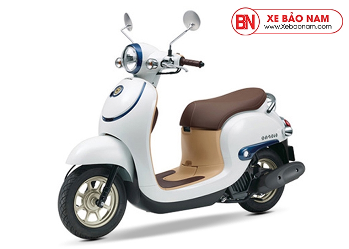 xebaonam.com