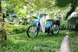 Xe máy 50cc Cub 81 Việt Thái