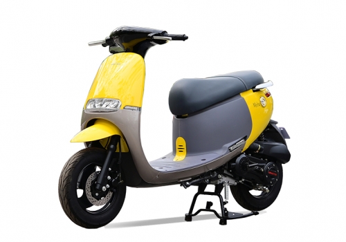 Xe Ga Gogo Motor 50cc 2022
