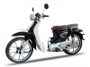 Xe Máy Ally Cub New Se 50cc (Vành Đúc)