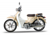 Xe Máy Ally Cub New Se 50cc (Vành Đúc)