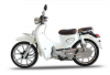 Xe Máy Ally Cub New Se 50cc (Vành Đúc)